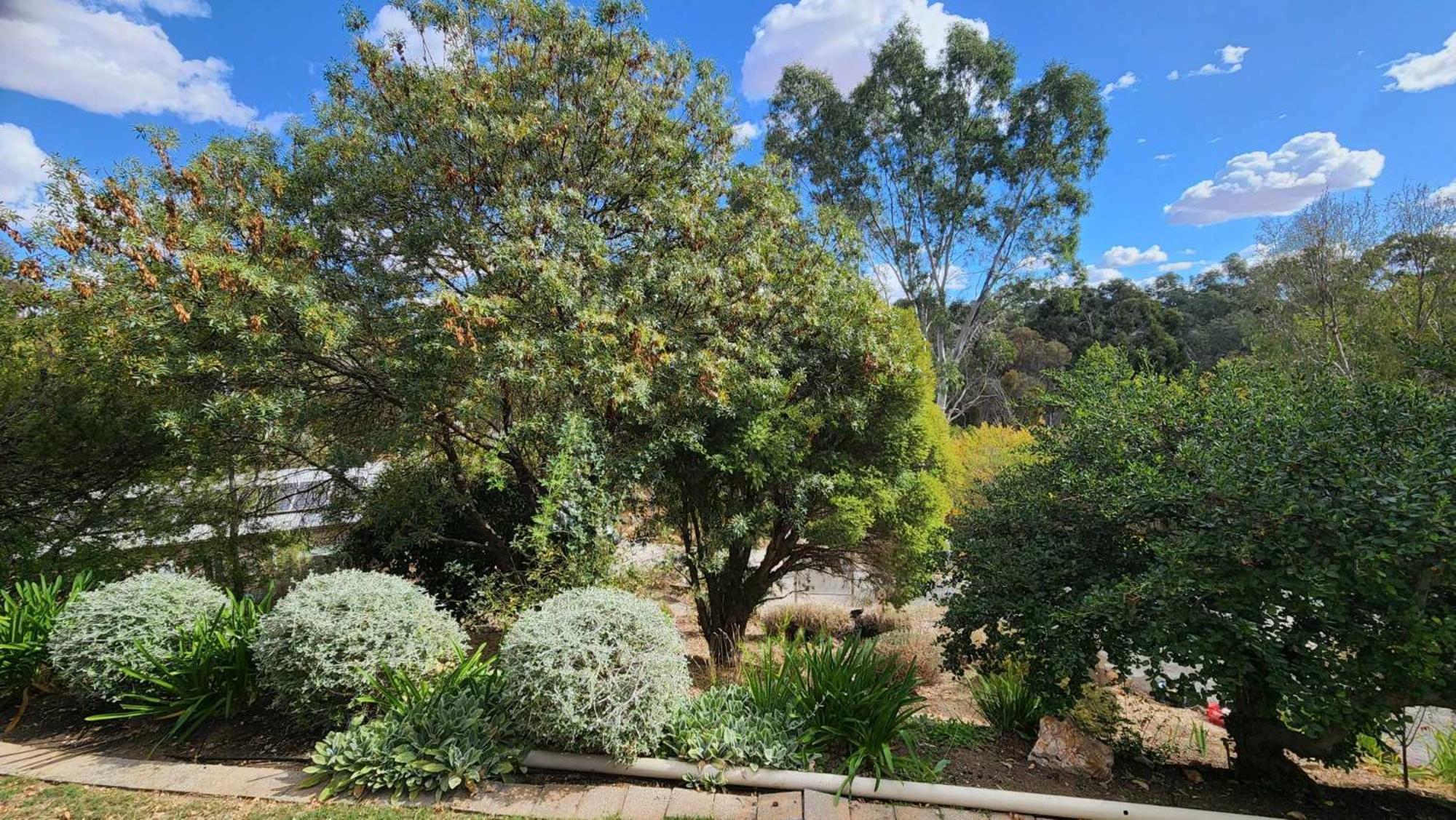 Riesling Trail & Clare Valley Cottages Pokoj fotografie